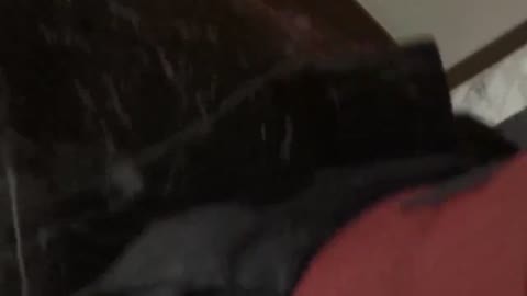 顔だけでイケそうな可愛い子が こんなエロいなんて！