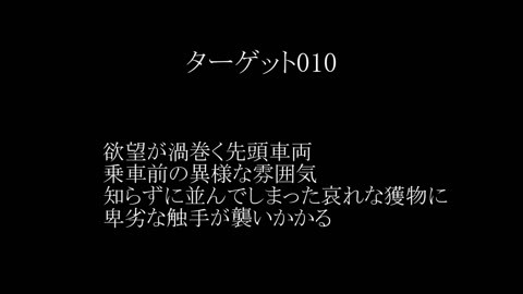 真・玄人痴漢 ファイル 010（Ｓ級）