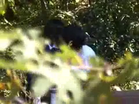 学校をさぼって真昼間から公園でＳＥＸしているカップルを盗撮